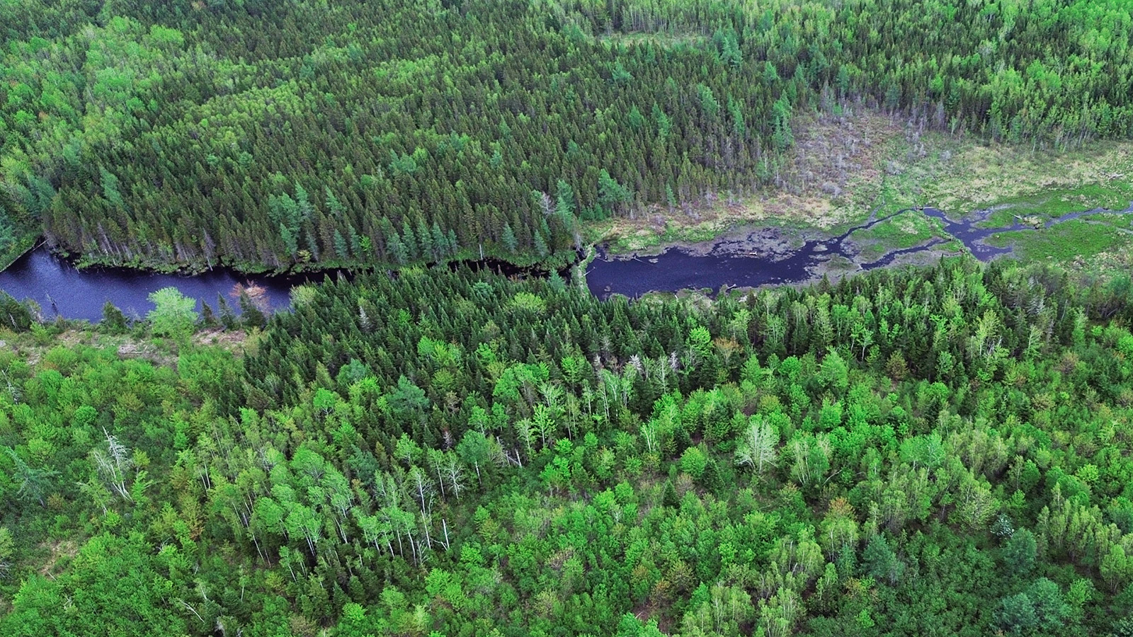 2025 – June – The Land