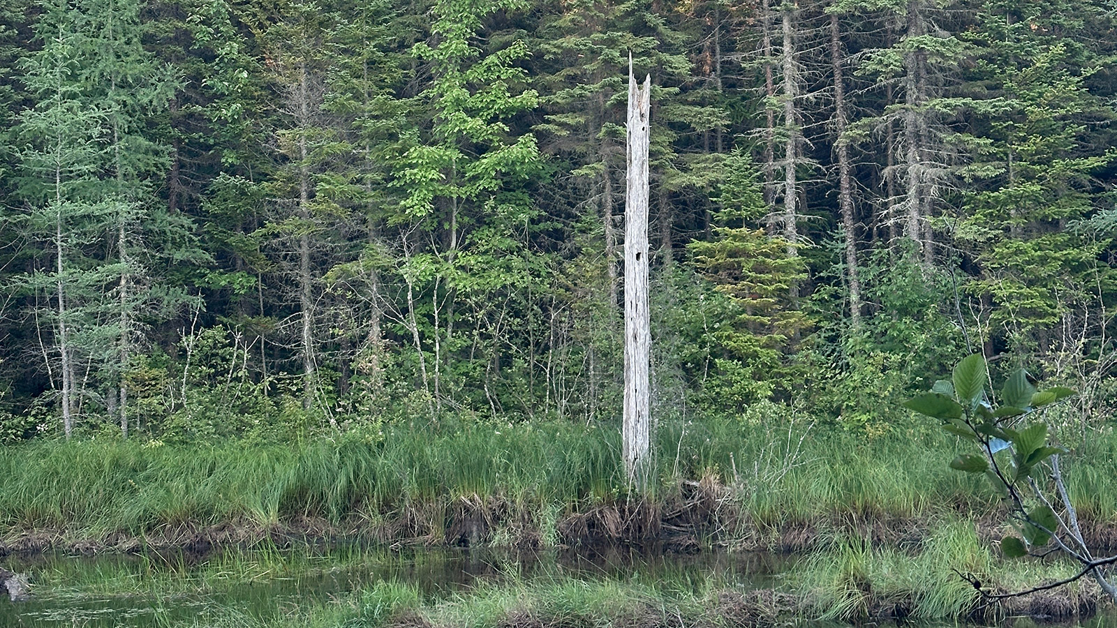 2025 – July – The Long Path