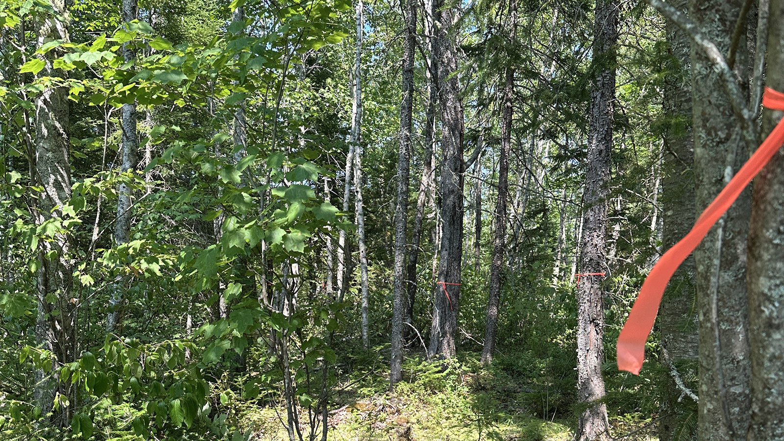 2025 – August – Hydraulically Powered