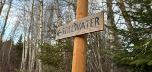 Wooden directional sign nailed to a post in a forest, with a left-pointing arrow and the word “STILLWATER” painted in dark letters, surrounded by birch and evergreen trees.