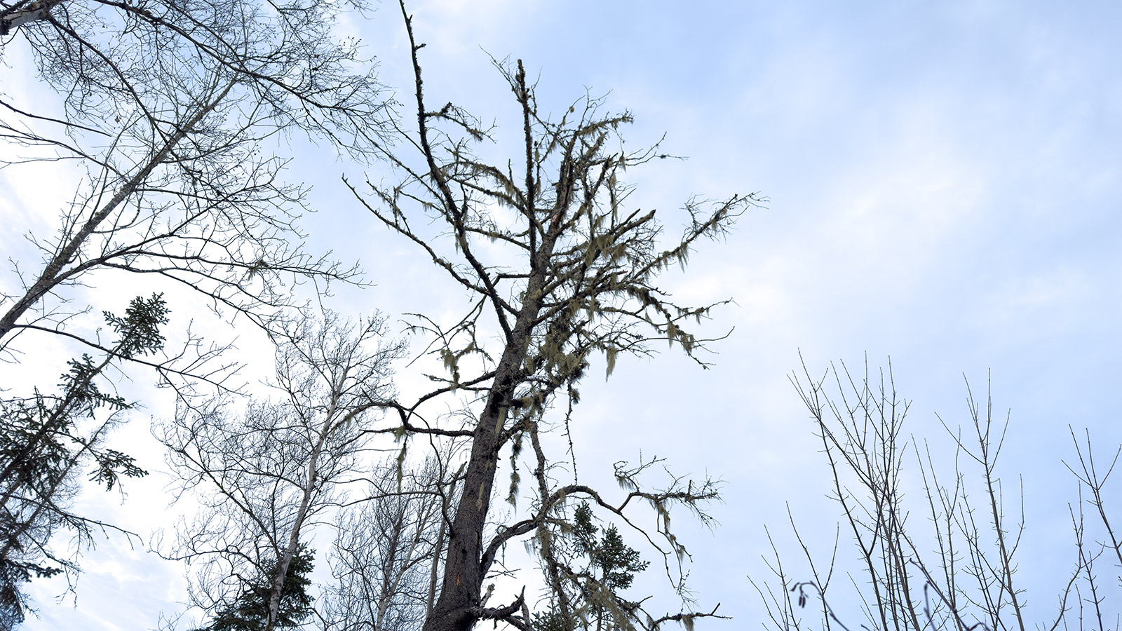 2025 – November – To Where The Cars Go