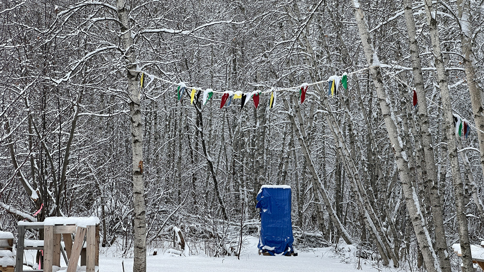 2026 – January – Winter Is Here